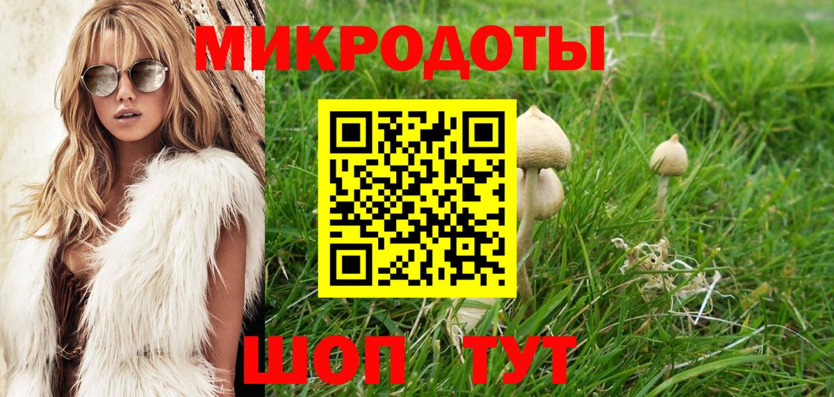 Галлюциногенные грибы Psilocybe  Вход с VPN  Краснознаменск 