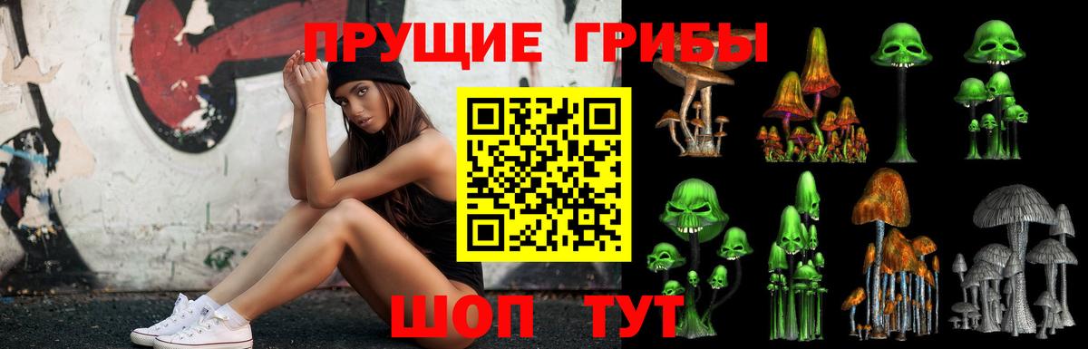 Псилоцибиновые грибы Psilocybe Краснознаменск